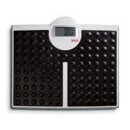 Picture of SECA 813 – Electronic flat scales with very high capacity